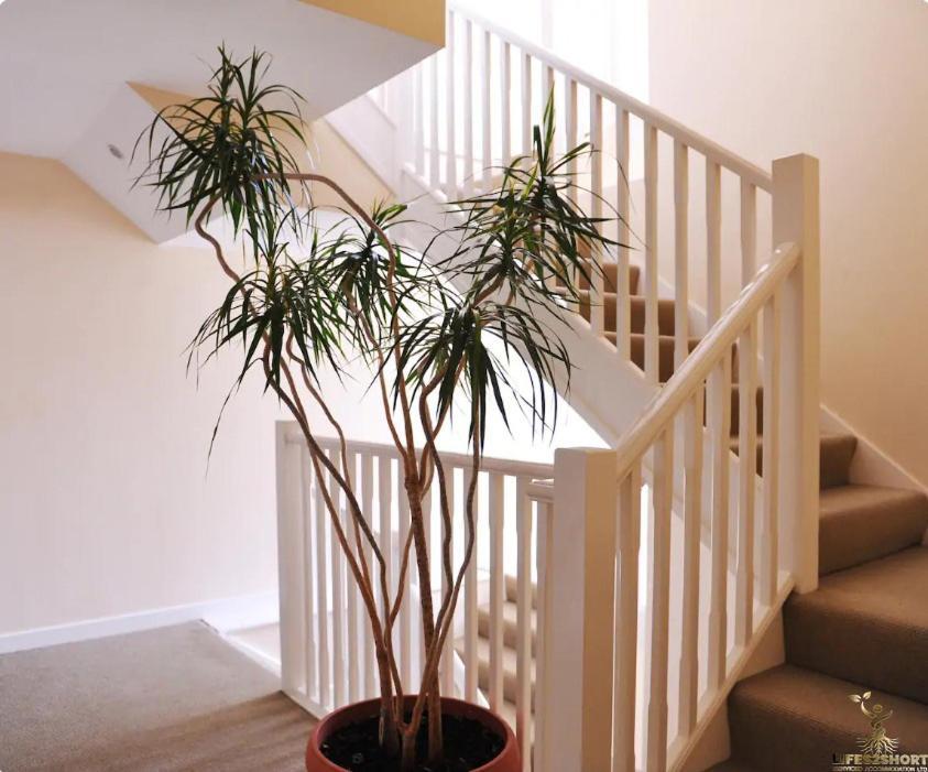 Smythen St, 2 Bed Apartment With Balcony Exeter Esterno foto